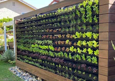 Vertical Garden Design