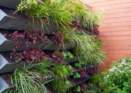 Vertical Garden Design Ideas