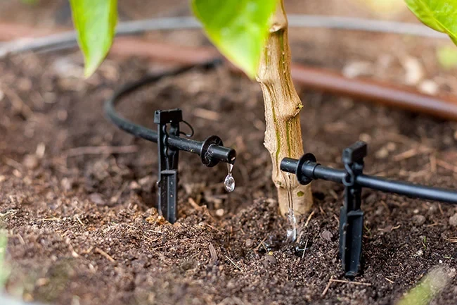 Drip Irrigation Installation