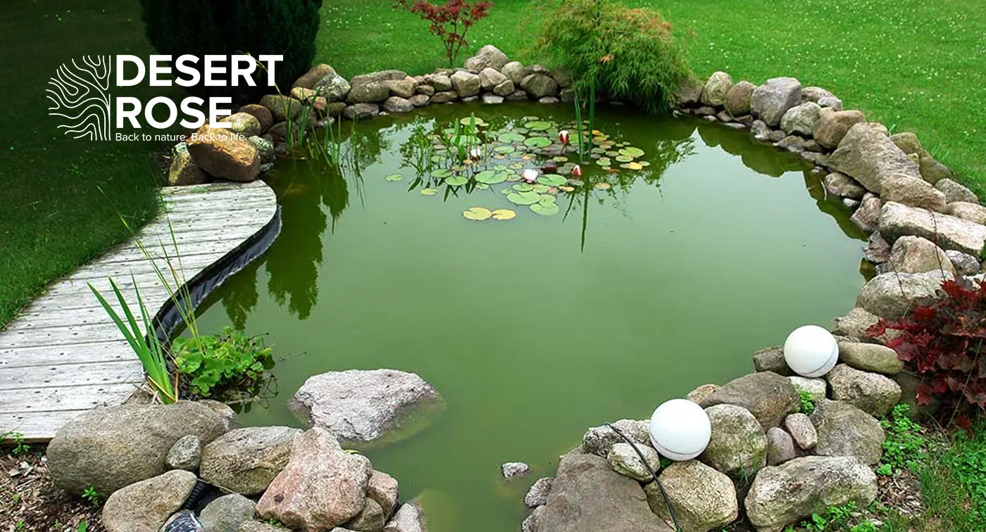 Benefits of Building a Koi Pond in Home